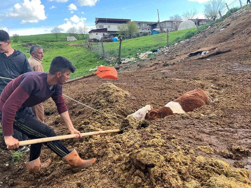 DİYARBAKIR’IN MERKEZ SUR İLÇESİNDE