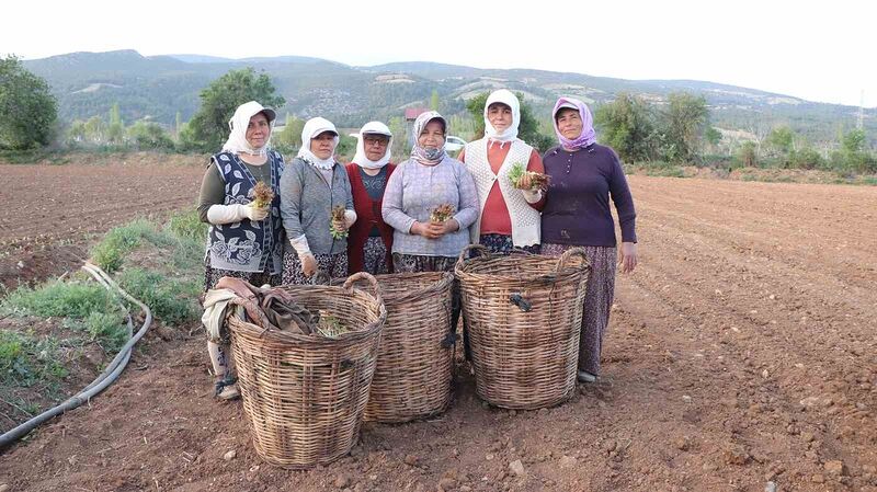 DENİZLİ'DE HAVALARIN ISINMASIYLA BİRLİKTE,