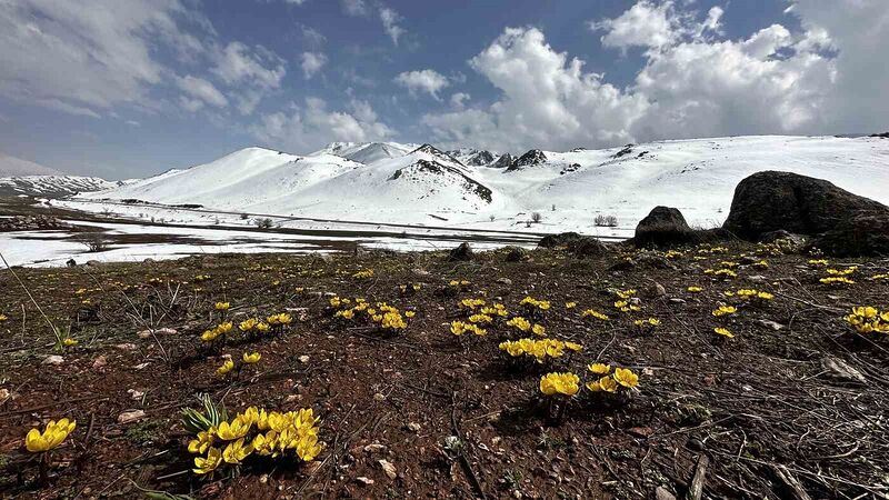 HAKKARİ’NİN YÜKSEKOVA İLÇESİNDE KARLARIN