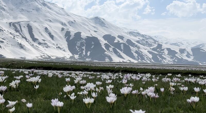 HAKKARİ'NİN YÜKSEKOVA İLÇESİNDE BAHARIN