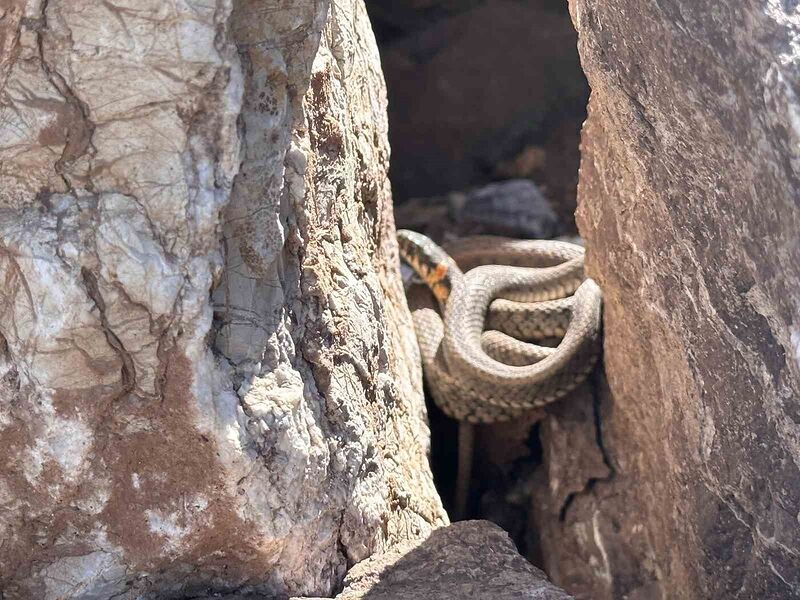 HAKKARİ’NİN YÜKSEKOVA İLÇESİNE BAĞLI