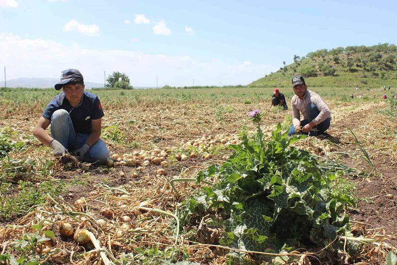 ŞANLIURFA'DAN HATAY'IN KUMLU İLÇESİNE