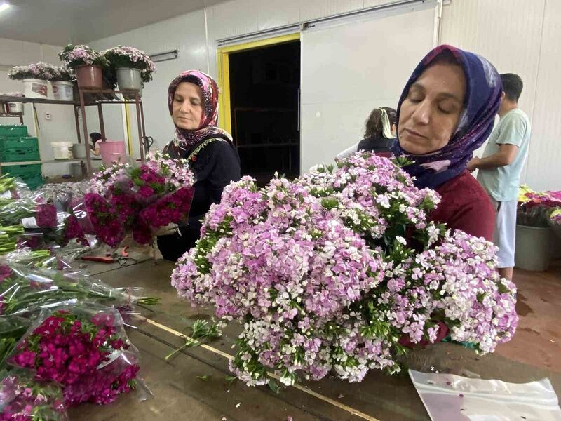 100 bin anne için 100 bin demet çiçek hazır