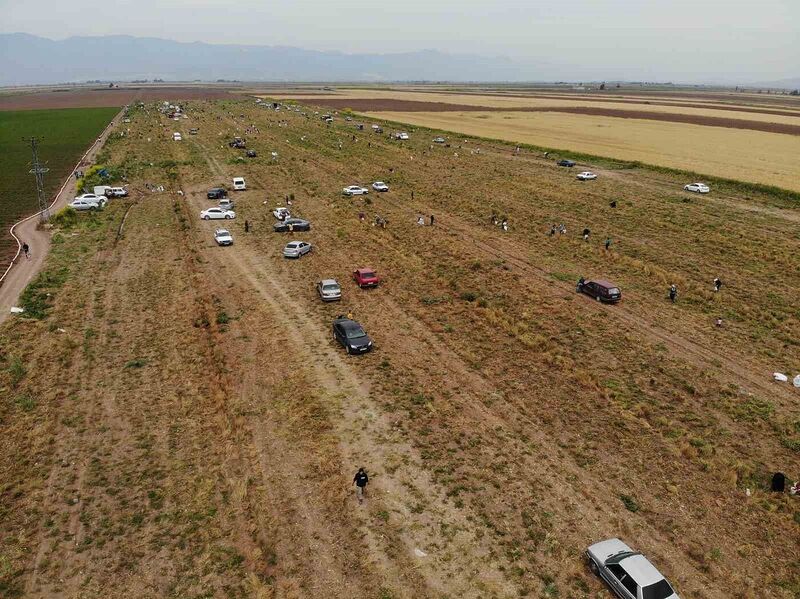 80 dönüm soğanı hayrına dağıttığını duyan oraya akın etti