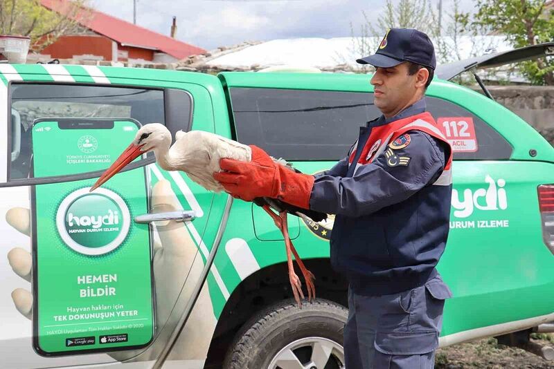 AĞRI’DA YARALI HALDE BULUNAN