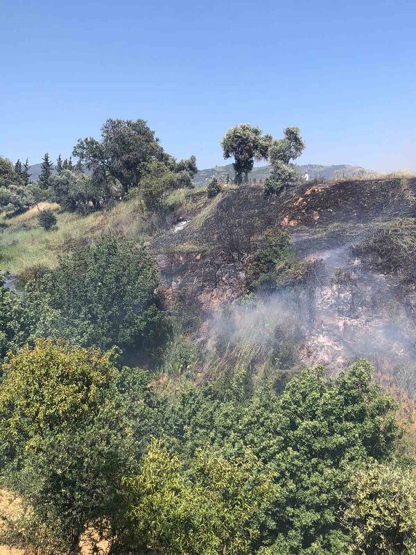 Aydın’da arazi yangını korkuttu