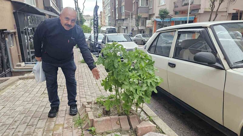 BALIKESİR'İN BANDIRMA İLÇESİNDE, SOKAKLAR