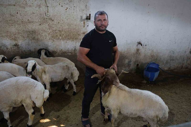 KAHRAMANMARAŞ’TA BİR GRUP BAŞIBOŞ