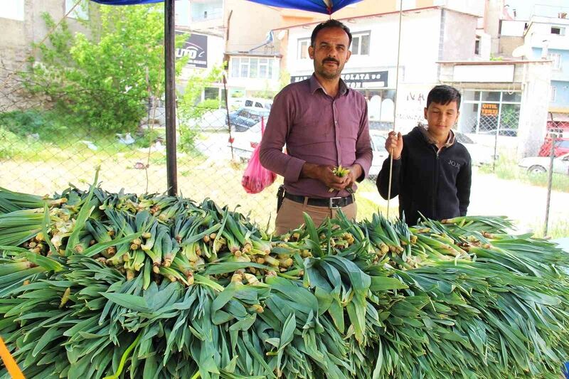 Binboğa Dağından çiriş toplayıp satıyor