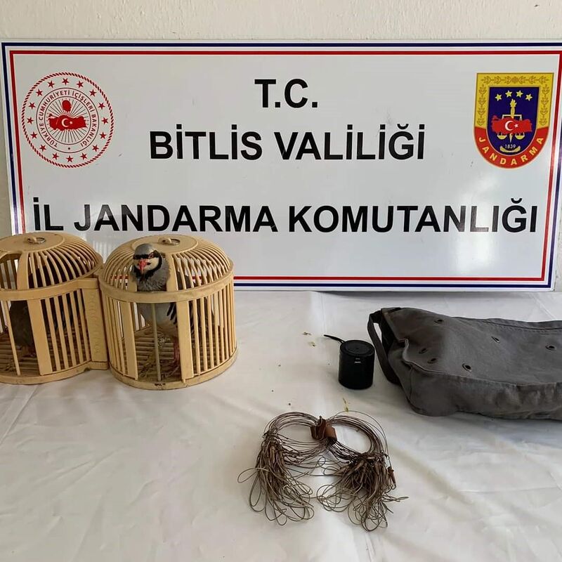 Bitlis’te keklik avlayan 2 kişiye 26 bin 635 lira para cezası uygulanacak