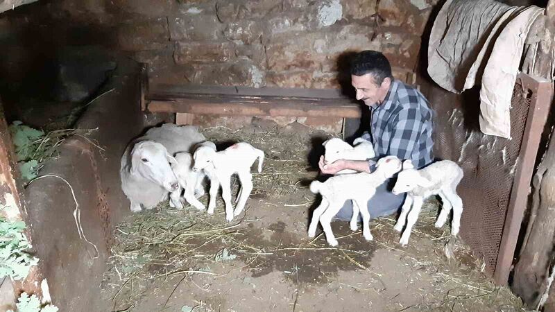 BOLU’NUN MUDURNU İLÇESİNDE HOBİ