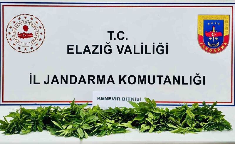 ELAZIĞ’DA JANDARMA EKİPLERİ TARAFINDAN