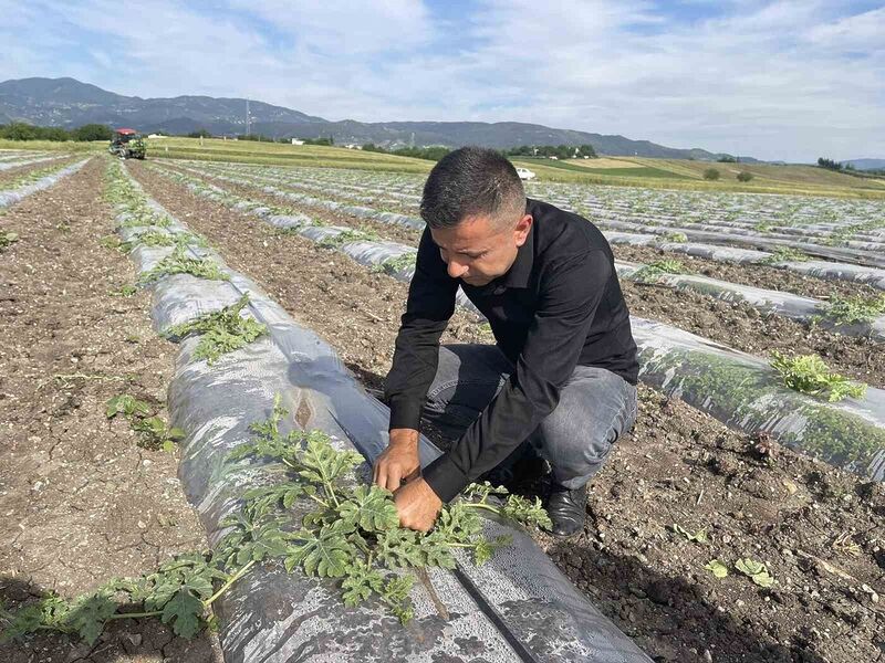 MALÇ NAYLONU KULLANARAK İLÇEDE