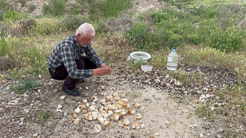 Hayvanları besleyen ayakkabı tamircisini Cumhurbaşkanı Erdoğan Külliye’de ağırlayacak