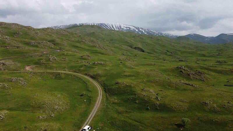 Iğdır’da dağlar yağmur sonrası yeşile büründü