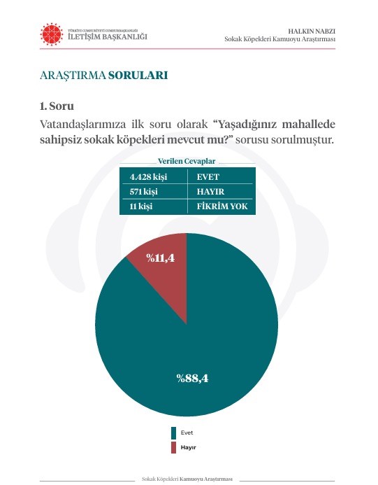 İletişim Başkanlığından sokak köpekleri kamuoyu araştırması