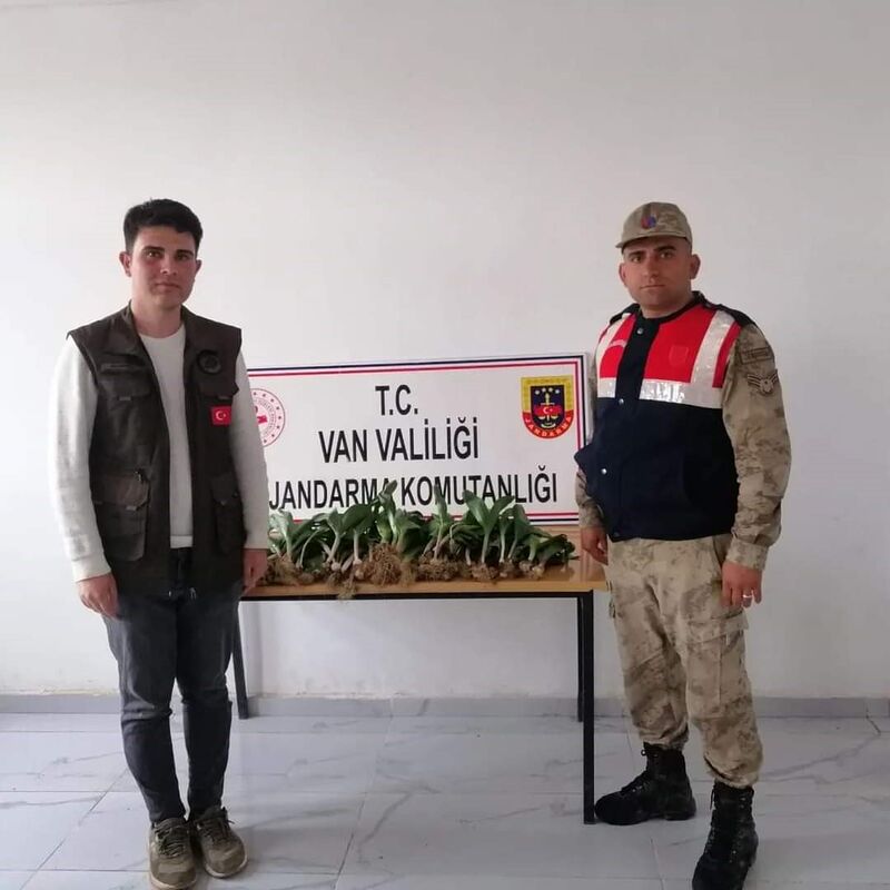 VAN'IN BAŞKALE İLÇESİNDE KORUMA