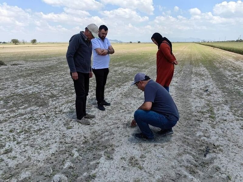 Karapınar’da tarım arazilerinde hasar tespit çalışmaları sürüyor