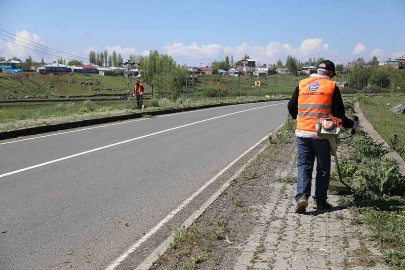 KARS’TA KALDIRIMLAR YABANİ OTLARDAN