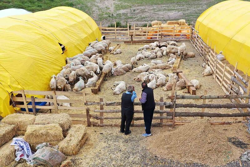 Keçiören’de kurban satış alanları için başvurular başladı