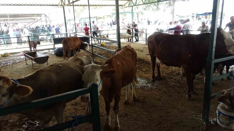 MALATYA’DA KURBAN BAYRAMI ÖNCESİ