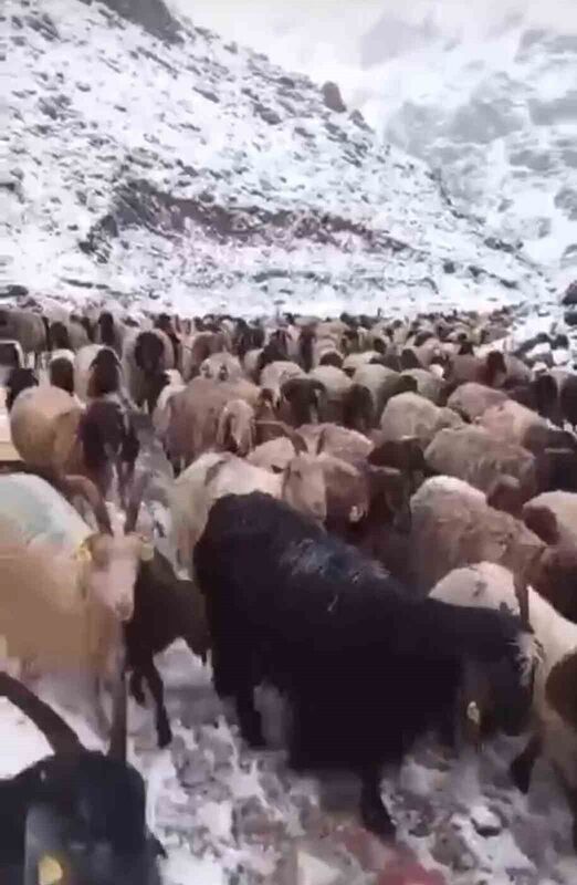 HAKKARİ’NİN YÜKSEKOVA İLÇESİNDE ANİDEN BASTIRAN KAR YAĞIŞI HAYATI OLUMSUZ ETKİLERKEN,