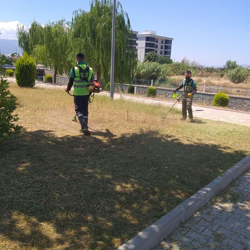 NAZİLLİ BELEDİYESİ  PARK