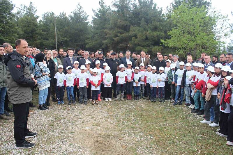 SAMSUN’UN VEZİRKÖPRÜ İLÇESİNDE “ORMAN