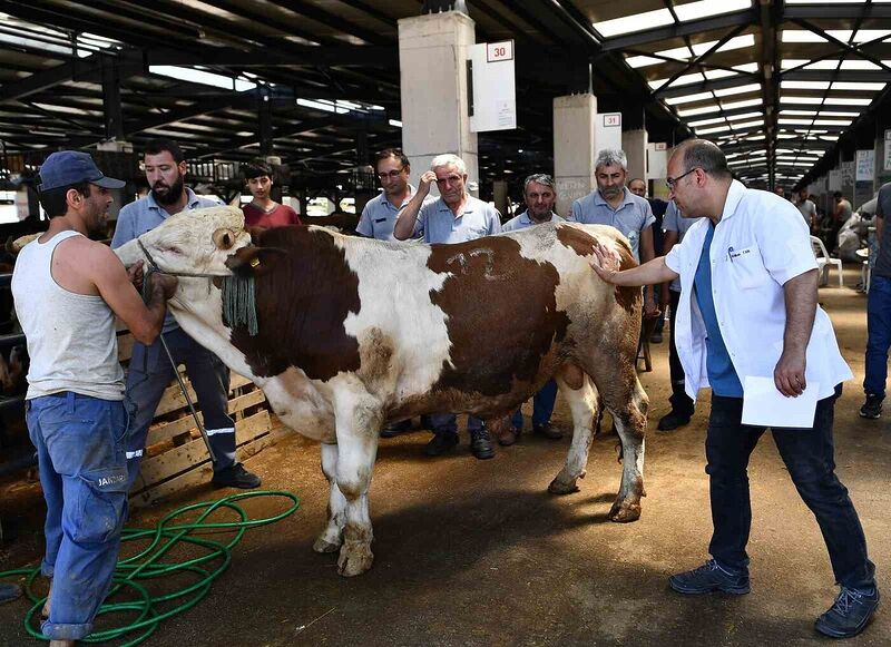 OSMANGAZİ BELEDİYESİ, VATANDAŞLARIN KURBAN