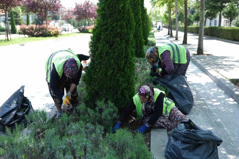 BOLU BELEDİYESİ PARK VE