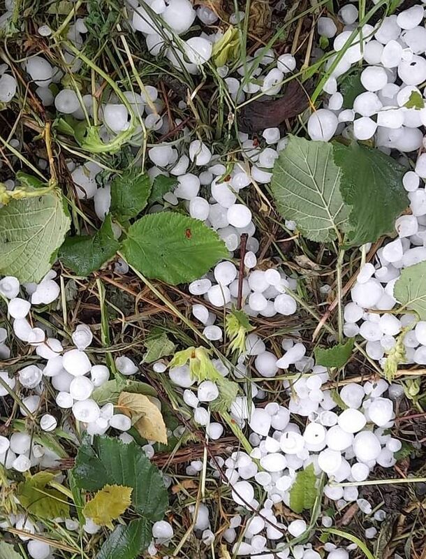 SAKARYA'DA METEOROLOJİ GENEL MÜDÜRLÜĞÜ