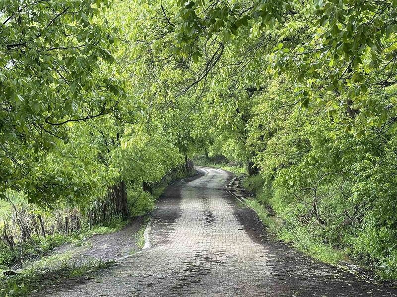 Şemdinli yeşil doğasıyla Karadeniz’i aratmıyor