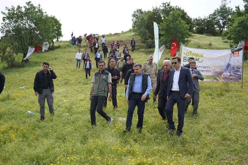 Şırnak’ta ’Orman Benim’ etkinliği düzenlendi