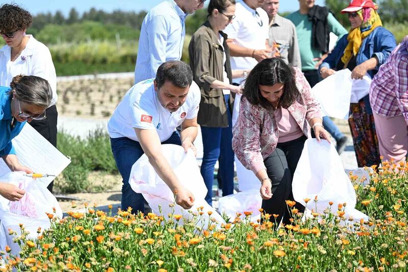 ÇANAKKALE SAVAŞLARI GELİBOLU TARİHİ