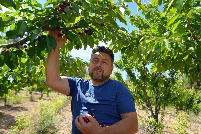 BAŞKA BİR KİRAZ ÜRETİCİSİ