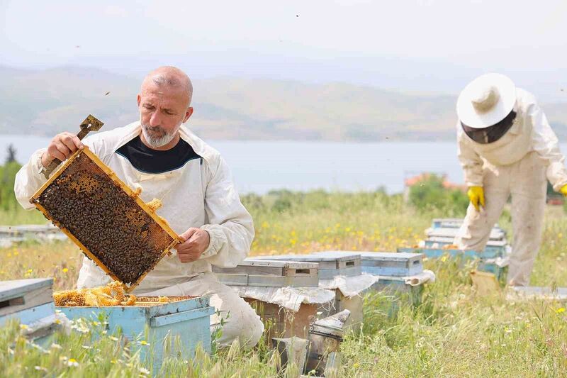 DOĞU VE GÜNEYDOĞU ANADOLU'DA