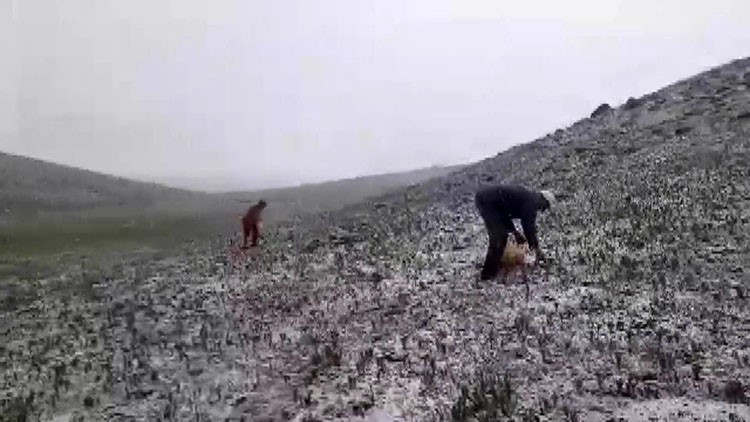 TUNCELİ’NİN PÜLÜMÜR İLÇESİNDE MAYIS