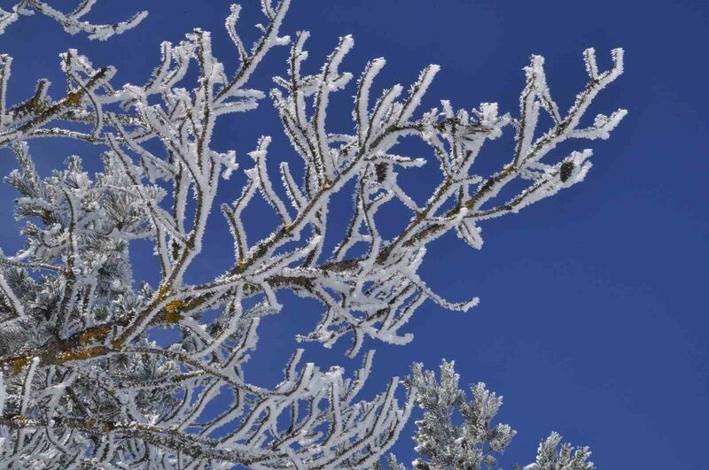 BOLU, METEOROLOJİ GÖZLEM İSTASYONUNDAN