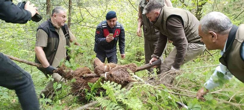 BURSA ULUDAĞ YOLUNDA ARABA