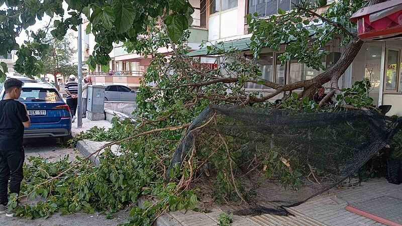 ÇORUM'DA KALDIRIMDA YÜRÜRKEN ÜZERİNE