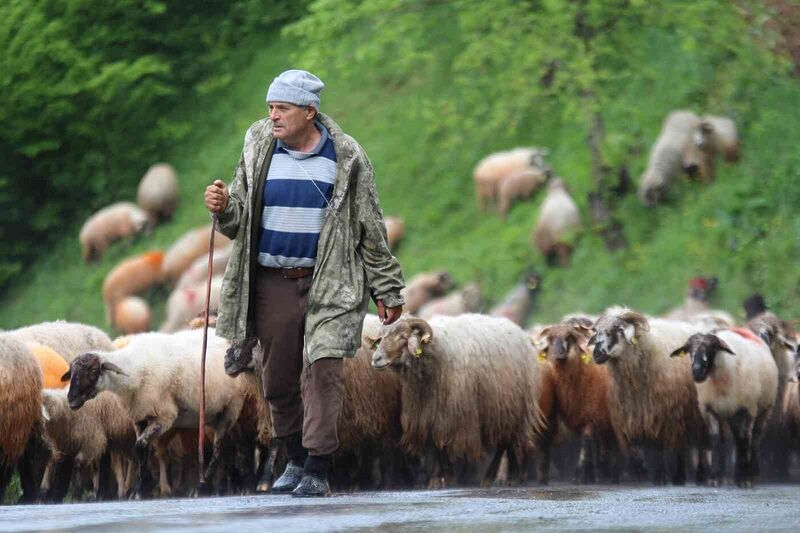 Yaylalara zorlu göç yolculuğu başladı