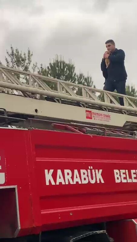 Yurt bahçesindeki ağaçta mahsur kalan kedi kurtarıldı