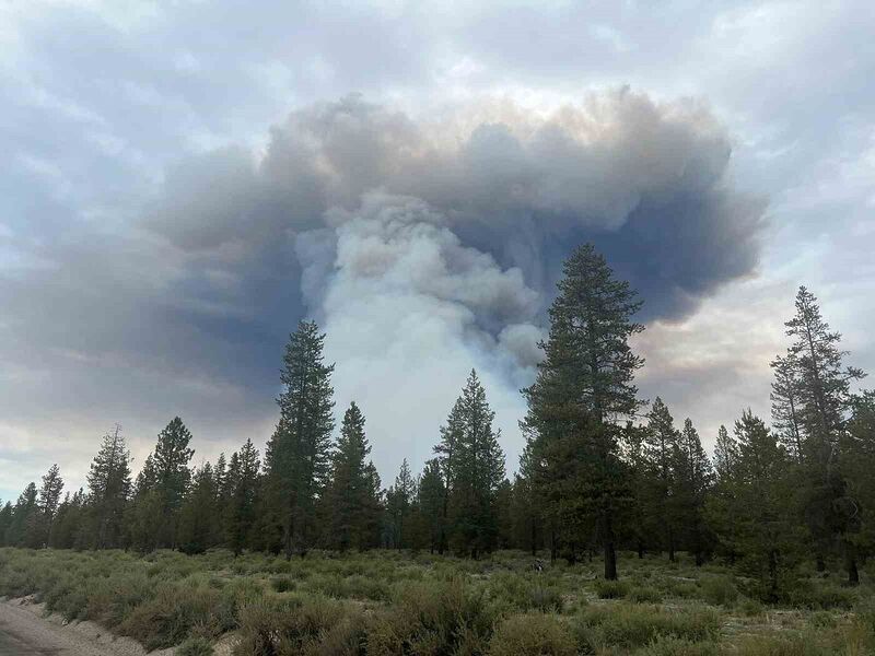 ABD’NİN OREGON EYALETİNDE ÇIKAN