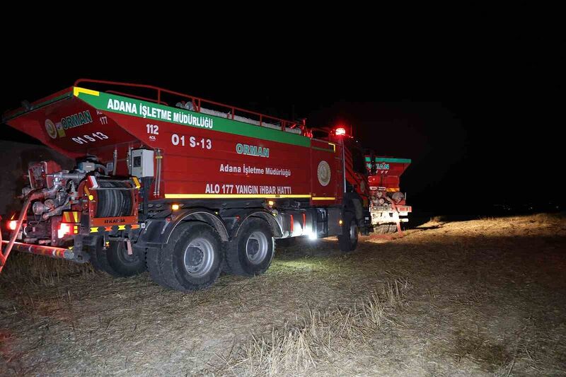 Adana’da anız yangını ormana sıçradı, yangın kontrol altına alındı