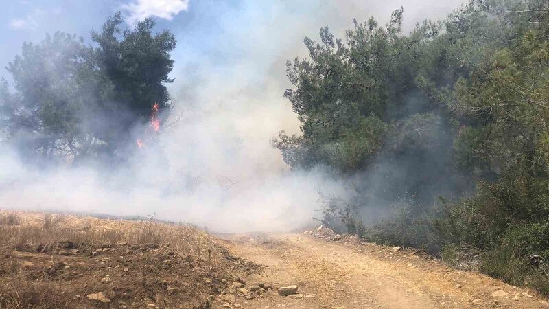 Adana’da orman yangını kontrol altına alındı