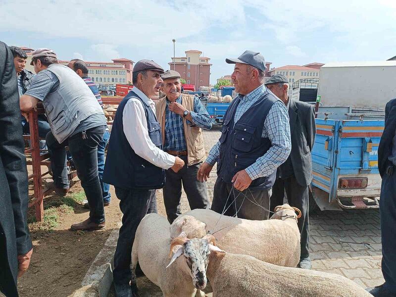 Afyonkarahisar’da küçükbaş kurbanlıklar müşterilerini bekliyor