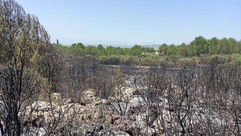 ANTALYA’NIN AKSU İLÇESİNDE ÇIKAN