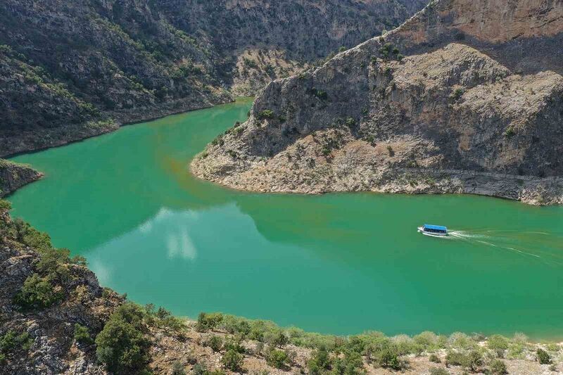 AYDIN'IN BOZDOĞAN İLÇESİNDEKİ ARAPAPIŞTI