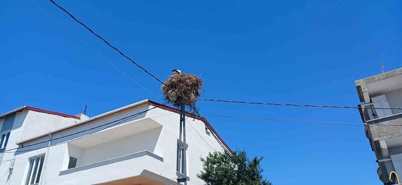 AVCILAR'DA YILLARDIR AYNI DİREĞE