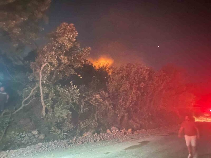 ÇANAKKALE’NİN AYVACIK İLÇESİNDE ÇIKAN